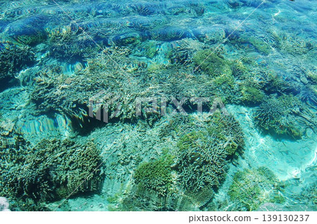 beautiful coral at blue sea with waves and blue sky, Gorontalo, Indonesia beautiful coral at blue sea with waves and blue sky, Gorontalo, Indonesia 139130237