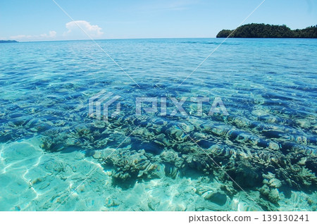 beautiful coral at blue sea with waves and blue sky, Gorontalo, Indonesia beautiful coral at blue sea with waves and blue sky, Gorontalo, Indonesia 139130241
