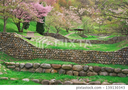 溪邊的櫻花盛開。 溪邊的櫻花盛開。 139130343