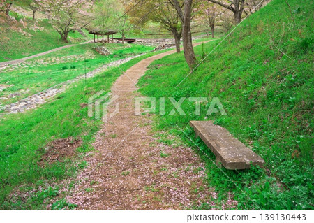 Dream Farm: A walking path and benches where cherry blossom petals have fallen. Dream Farm: A walking path and benches where cherry blossom petals have fallen. 139130443