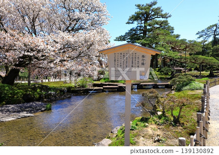 Kanazawa Kenrokuen的櫻花 Kanazawa Kenrokuen的櫻花 139130892