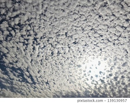 蓬鬆的天空 139130957