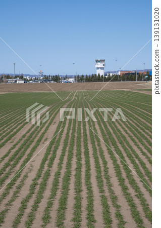 Country airport Country airport 139131020