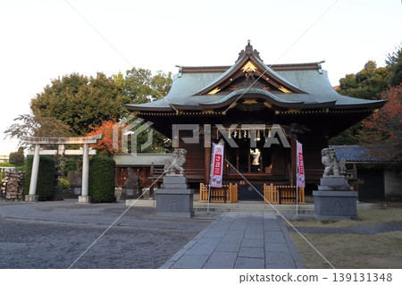 At Akabane Hachiman Shrine in autumn (Kita Ward, Tokyo) At Akabane Hachiman Shrine in autumn (Kita Ward, Tokyo) 139131348