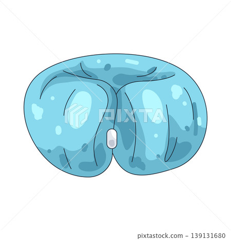 Illustration of hair donut Illustration of hair donut 139131680