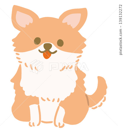 Vector illustration of a sitting Chihuahua 139132272