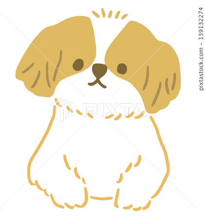 一隻坐著的西施犬的向量插圖 139132274