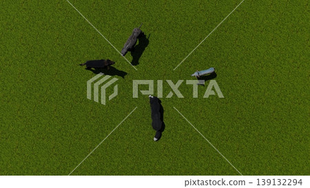 A scene of dogs playing in a spacious, green dog run (3DCG illustration) 139132294
