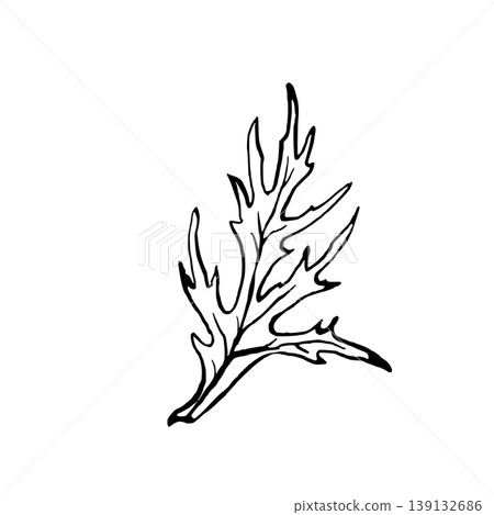 Leaf from anemone or poppy flowers. Hand drawing vector line art with black outlines. Realistic botanical elements for invitations, greeting card, floral print design. Isolated on white background Leaf from anemone or poppy flowers. Hand drawing vector line art with black outlines. Realistic botanical elements for invitations, greeting card, floral print design. Isolated on white background 139132686