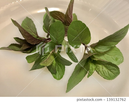 薄荷 139132762