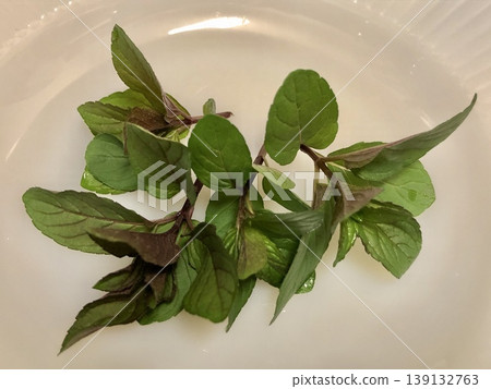 薄荷 139132763