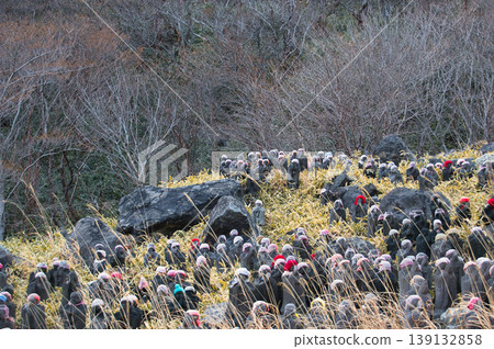 Stone Buddha Stone Buddha 139132858