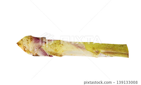 Udo (Japanese spikenard), a spring wild vegetable, cooking ingredient, transparent background. 139133008