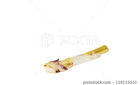 Udo (Japanese spikenard), a spring wild vegetable, cooking ingredient, transparent background. Udo (Japanese spikenard), a spring wild vegetable, cooking ingredient, transparent background. 139133010
