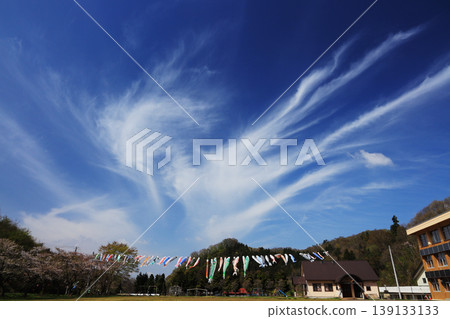 Fukushima Prefecture, Kitashiobara Village: Carp streamers swimming in the spring blue sky and a dynamic landscape of cirrus clouds. Fukushima Prefecture, Kitashiobara Village: Carp streamers swimming in the spring blue sky and a dynamic landscape of cirrus clouds. 139133133
