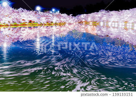 弘前櫻花節:夜櫻 弘前櫻花節:夜櫻 139133151