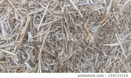dry grass in the ground dry grass in the ground 139133319