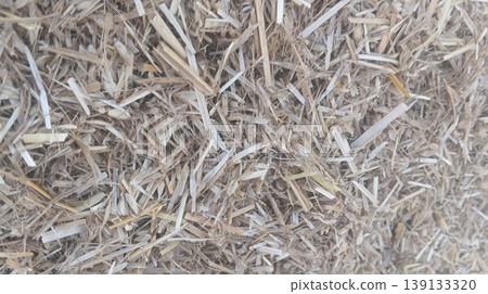dry grass in the ground dry grass in the ground 139133320