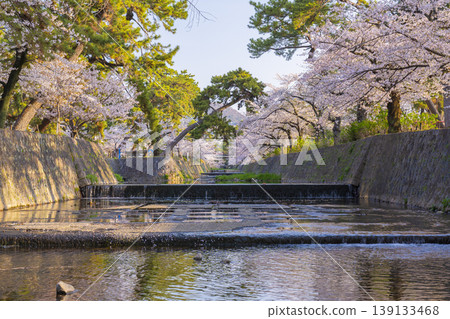 宿川公園的櫻花美景 宿川公園的櫻花美景 139133468