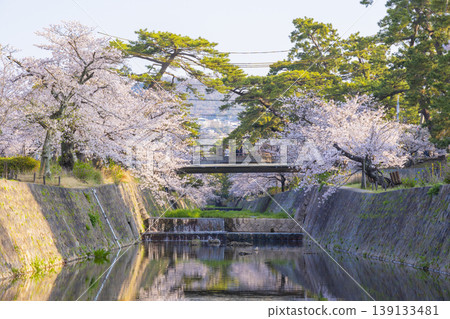 宿川公園的櫻花美景 宿川公園的櫻花美景 139133481