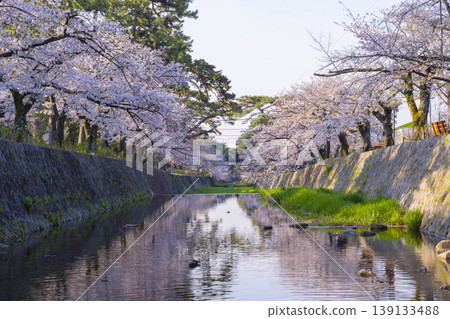宿川公園的櫻花美景 宿川公園的櫻花美景 139133488