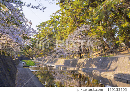 宿川公園的櫻花美景 宿川公園的櫻花美景 139133503