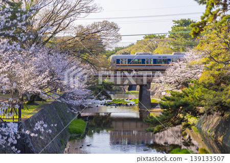 宿川公園的櫻花美景 139133507