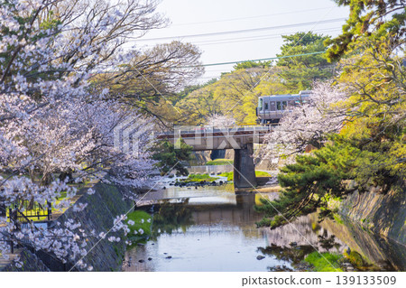 宿川公園的櫻花美景 宿川公園的櫻花美景 139133509