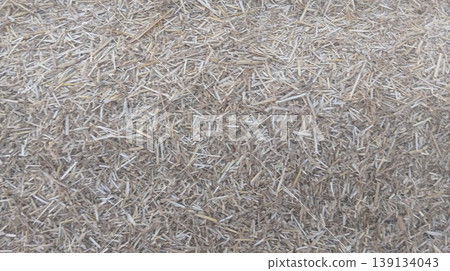 dry grass in the ground 139134043