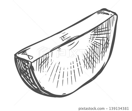 Sweet potato sketch. Vector illustration of the vegetable. A piece of unpeeled batat lies on a table. Hand drawn, imitating an engraving. Outline drawing of a yam, done in ink. Line drawing. Sweet potato sketch. Vector illustration of the vegetable. A piece of unpeeled batat lies on a table. Hand drawn, imitating an engraving. Outline drawing of a yam, done in ink. Line drawing. 139134381