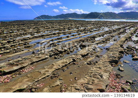 Aoshima Island, the "Devil's Washboard" rock formations, and the Hyuga Sea (Miyazaki City, Miyazaki Prefecture) 139134619