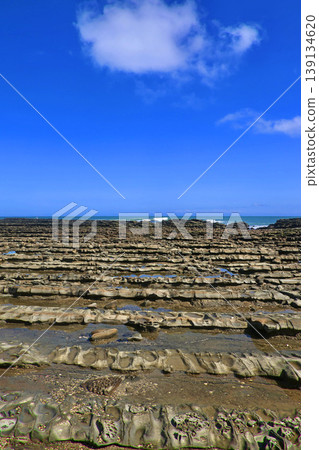 Aoshima Island, the "Devil's Washboard" rock formations, and the Hyuga Sea (Miyazaki City, Miyazaki Prefecture) Aoshima Island, the "Devil's Washboard" rock formations, and the Hyuga Sea (Miyazaki City, Miyazaki Prefecture) 139134620
