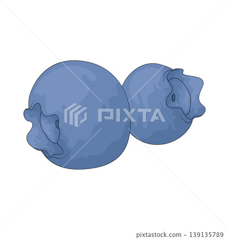 Illustration of Wild Blueberry 139135789