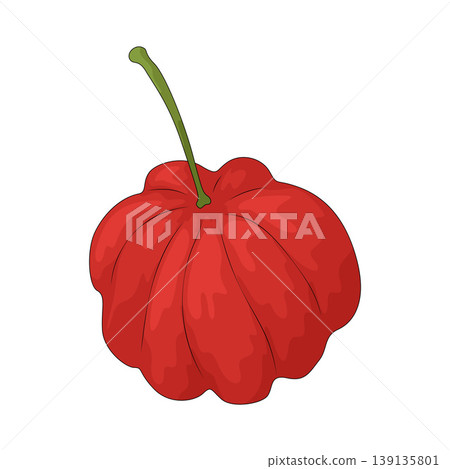 Illustration of Surinam Cherry Illustration of Surinam Cherry 139135801