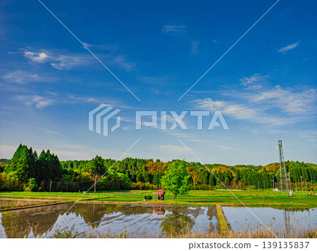 與稻田的風景 139135837