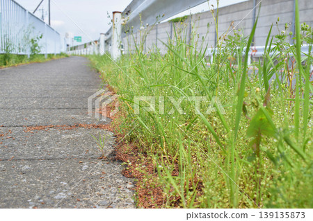 Weed problem Weed problem 139135873