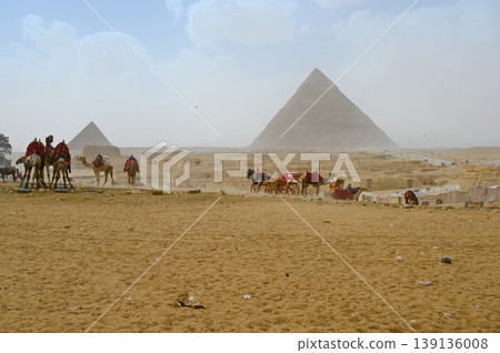 Sphinx, pyramids, camels, Giza 139136008
