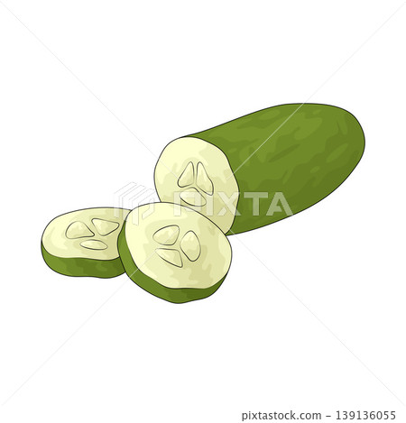 Illustration of Cucumber Illustration of Cucumber 139136055