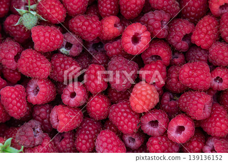 Freshly harvested raspberries piled together in various shades of red showcasing their natural beauty and inviting texture in an outdoor setting Freshly harvested raspberries piled together in various shades of red showcasing their natural beauty and inviting texture in an outdoor setting 139136152