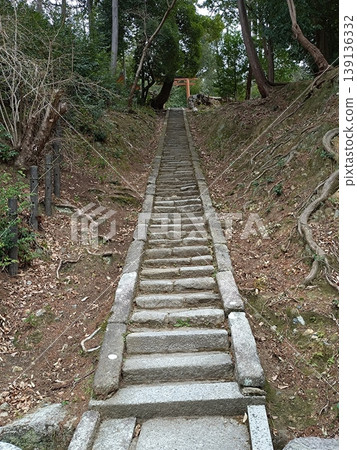 通往神社的石階 通往神社的石階 139136332