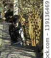 The back view of a young girl. 139136469