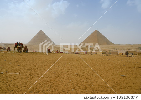 The Sphinx, the three Great Pyramids of Giza, and camels - Egypt The Sphinx, the three Great Pyramids of Giza, and camels - Egypt 139136877