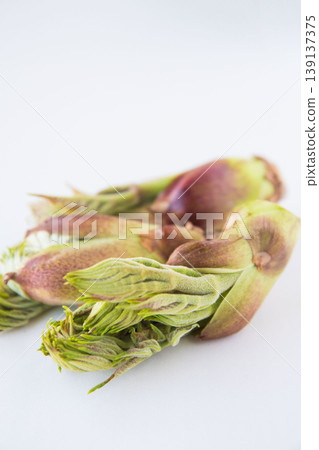 Close-up of wild cod sprouts Close-up of wild cod sprouts 139137375