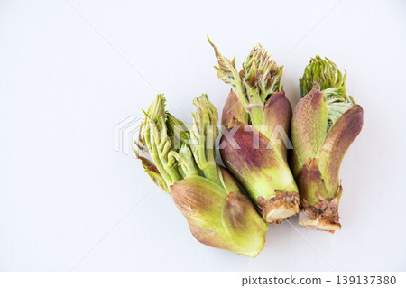 Close-up of wild cod sprouts Close-up of wild cod sprouts 139137380