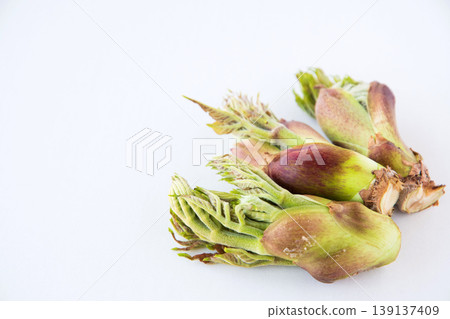 Close-up of wild cod sprouts Close-up of wild cod sprouts 139137409