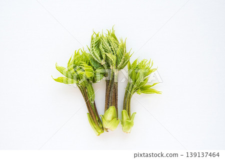 Natural Koshiabura Natural Koshiabura 139137464