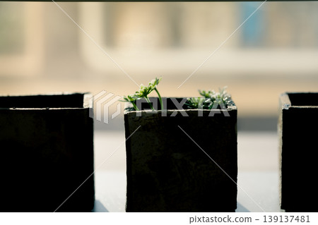 Small flower pots and the plants you grow 139137481