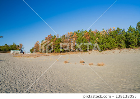 Scenery of Nakatajima Sand Dunes in Hamamatsu City (Shizuoka Prefecture) Scenery of Nakatajima Sand Dunes in Hamamatsu City (Shizuoka Prefecture) 139138053