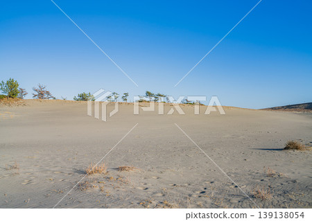 Scenery of Nakatajima Sand Dunes in Hamamatsu City (Shizuoka Prefecture) Scenery of Nakatajima Sand Dunes in Hamamatsu City (Shizuoka Prefecture) 139138054