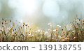 Autumn landscape nature. Dried flowers on the field, banner. Selective focus. Sweet meadow at sunset blurry background. Warm blurred grass on golden hour sunset or sunrise time. Tranquil fall backdrop 139138755